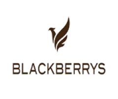 Blackberrys IN
